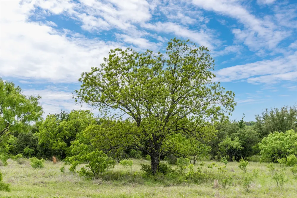 County Road 267 Early, TX 76802