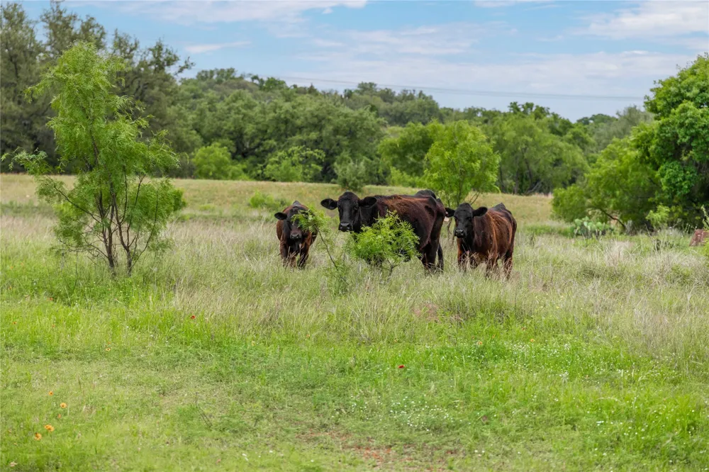 County Road 267 Early, TX 76802