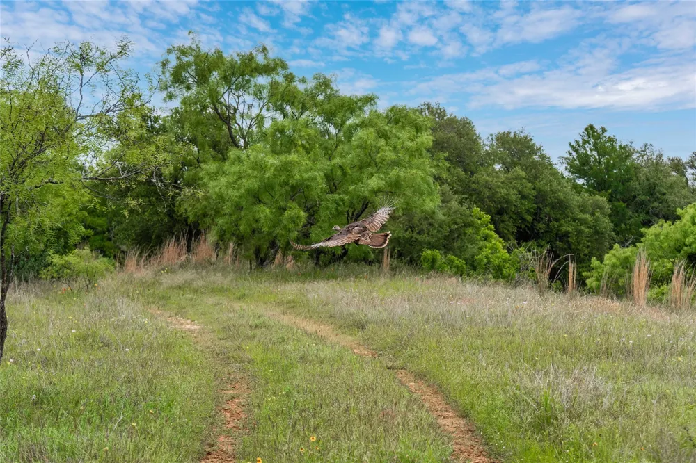 County Road 267 Early, TX 76802