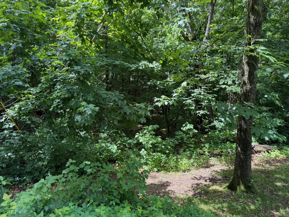 59710 M-51 S Dowagiac, MI 49047