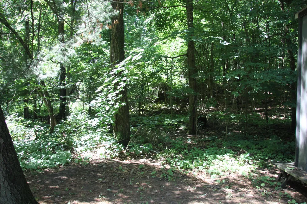 59710 M-51 S Dowagiac, MI 49047