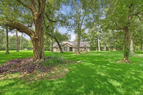 1311 Forest Cove Drive