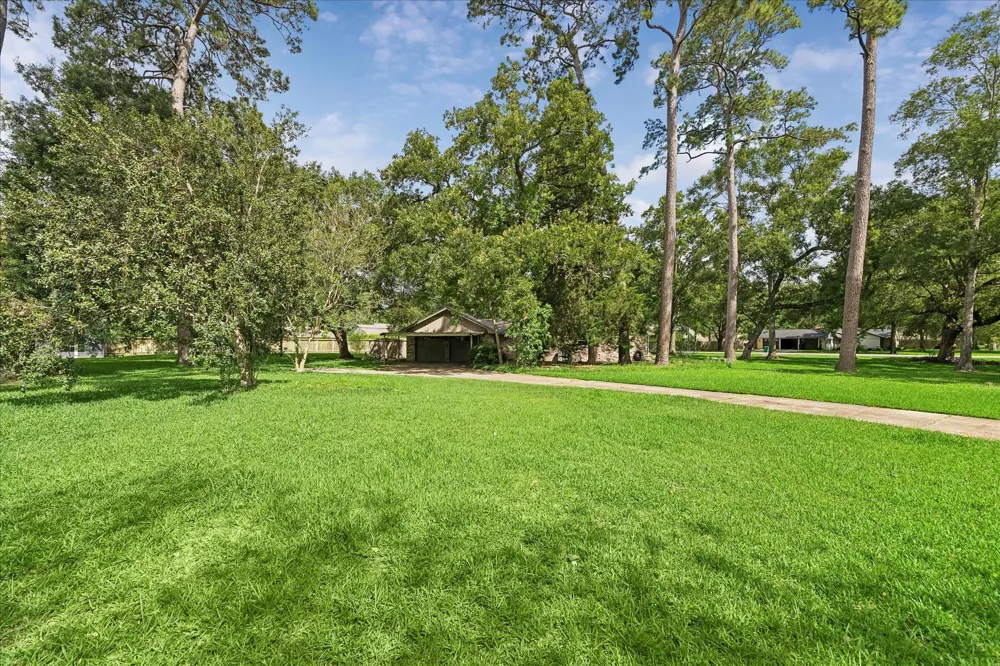 1311 Forest Cove Drive Kingwood, TX 77339