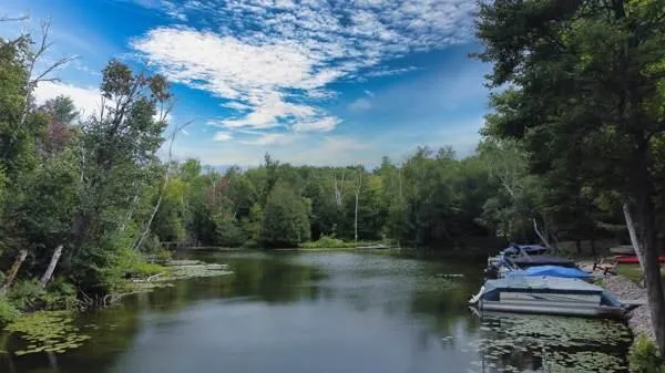 9638 W School Section Lake Drive Mecosta, MI 49332