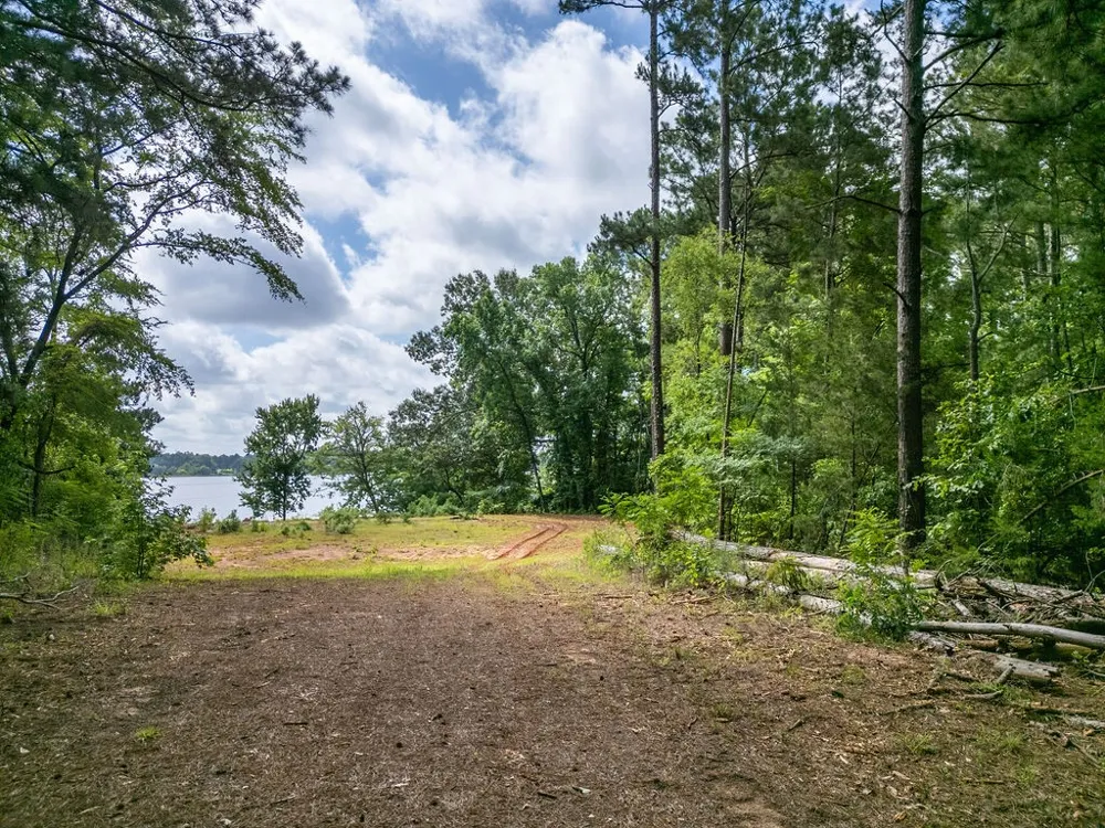 County Road 2232 Daingerfield, TX 75638
