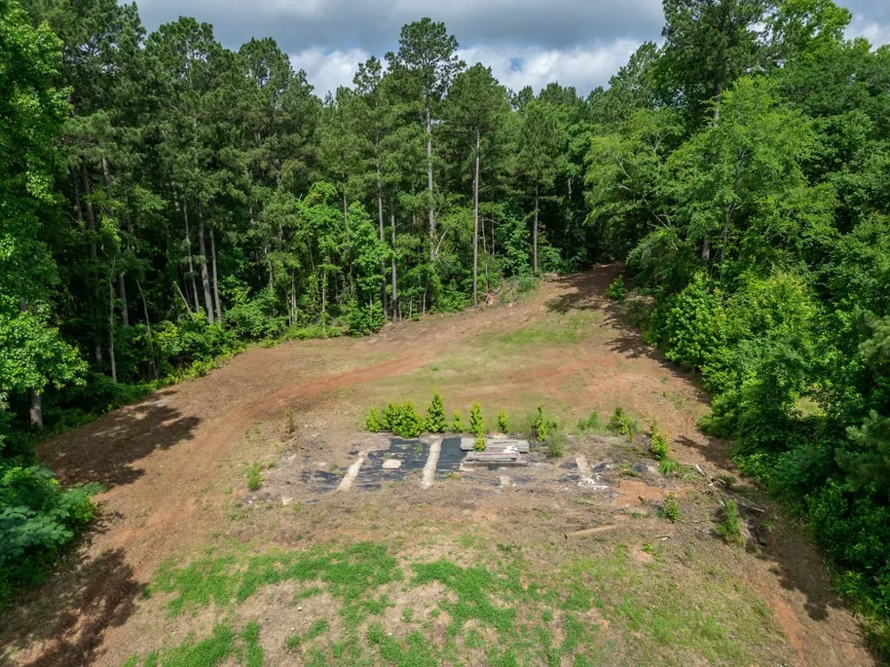 County Road 2232 Daingerfield, TX 75638