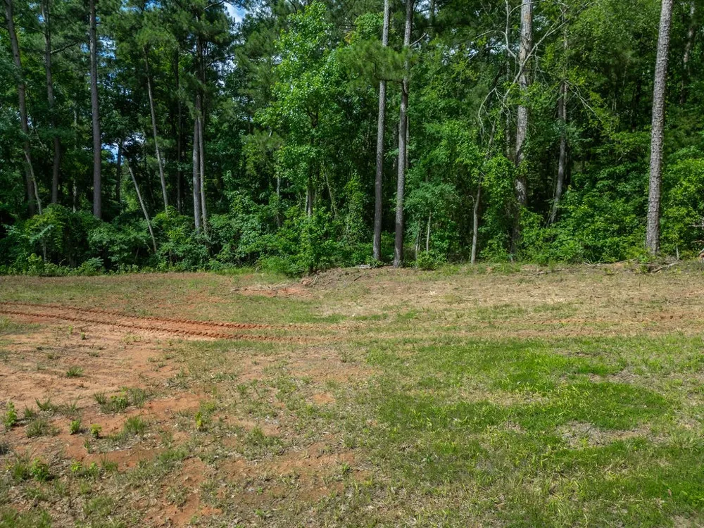 County Road 2232 Daingerfield, TX 75638