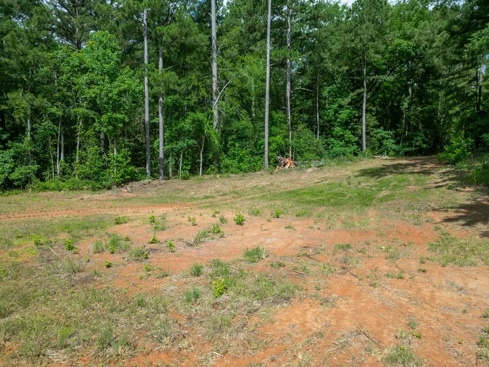 County Road 2232 Daingerfield, TX 75638