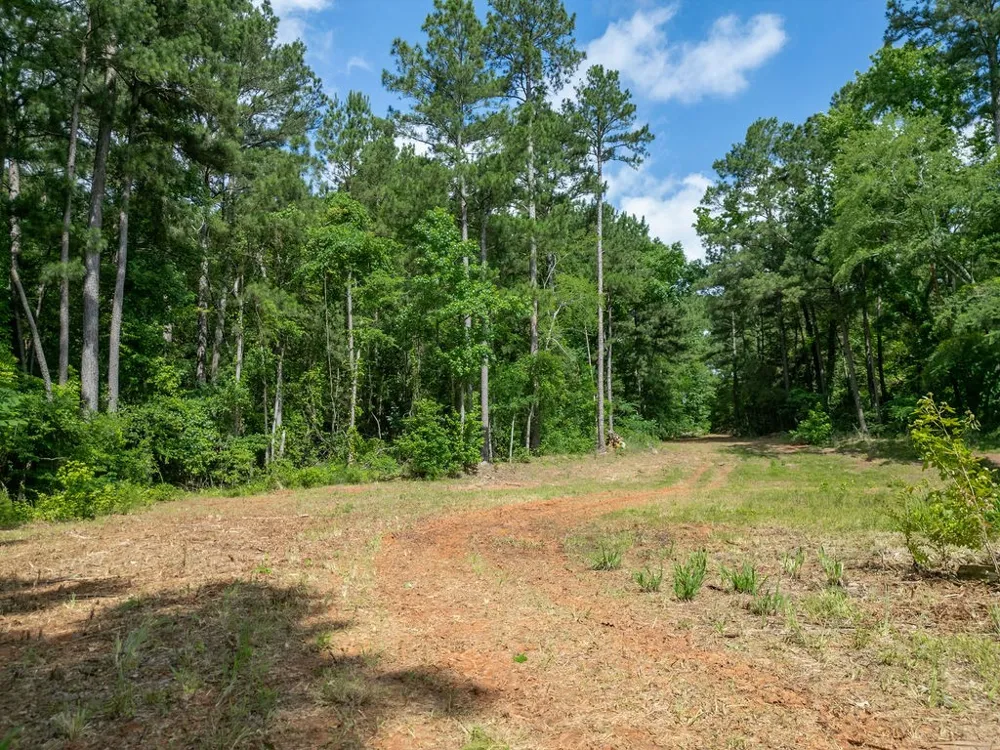 County Road 2232 Daingerfield, TX 75638