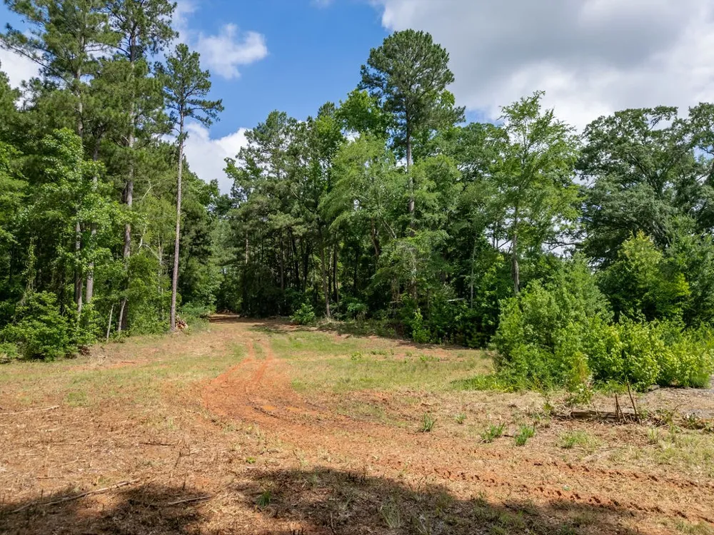 County Road 2232 Daingerfield, TX 75638