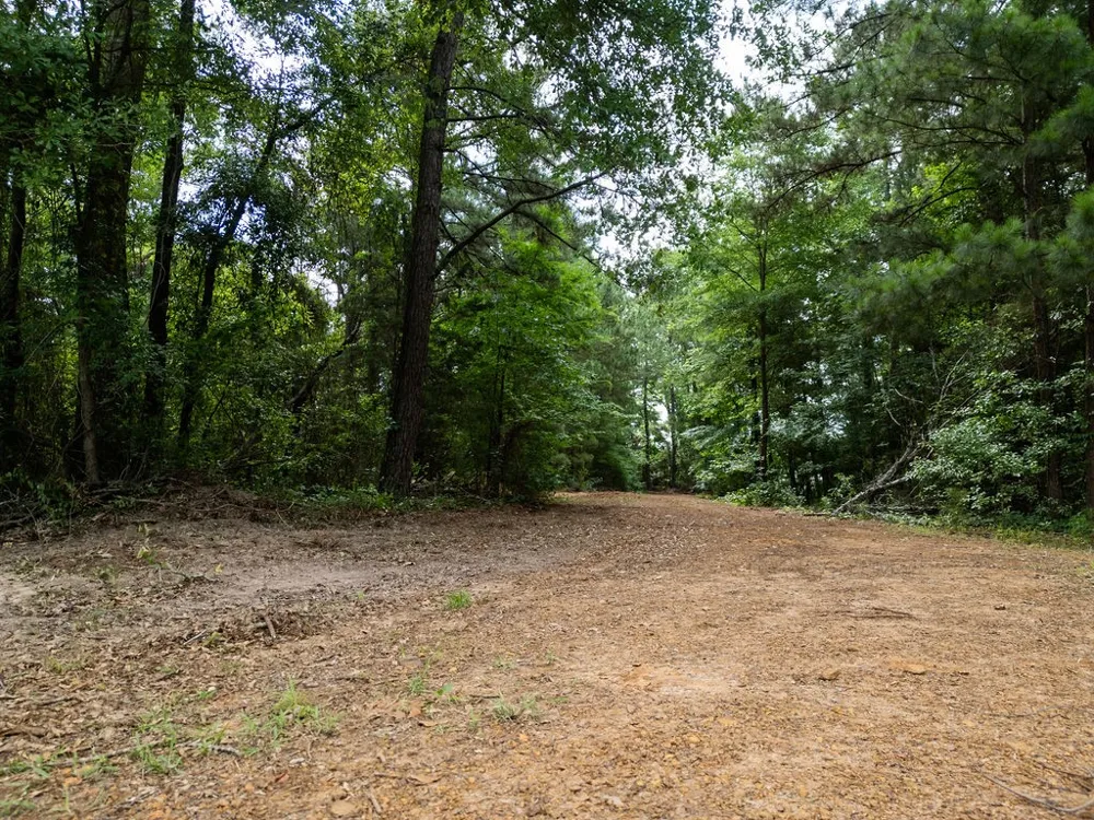 County Road 2232 Daingerfield, TX 75638
