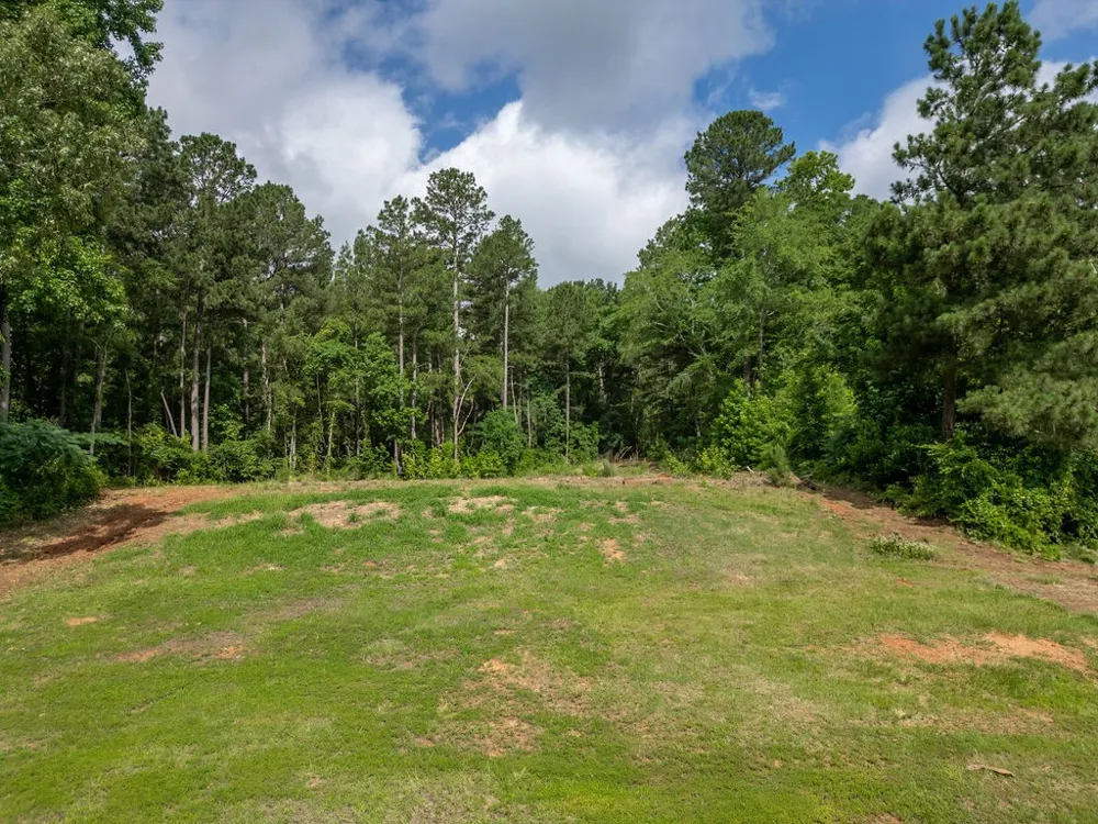 County Road 2232 Daingerfield, TX 75638