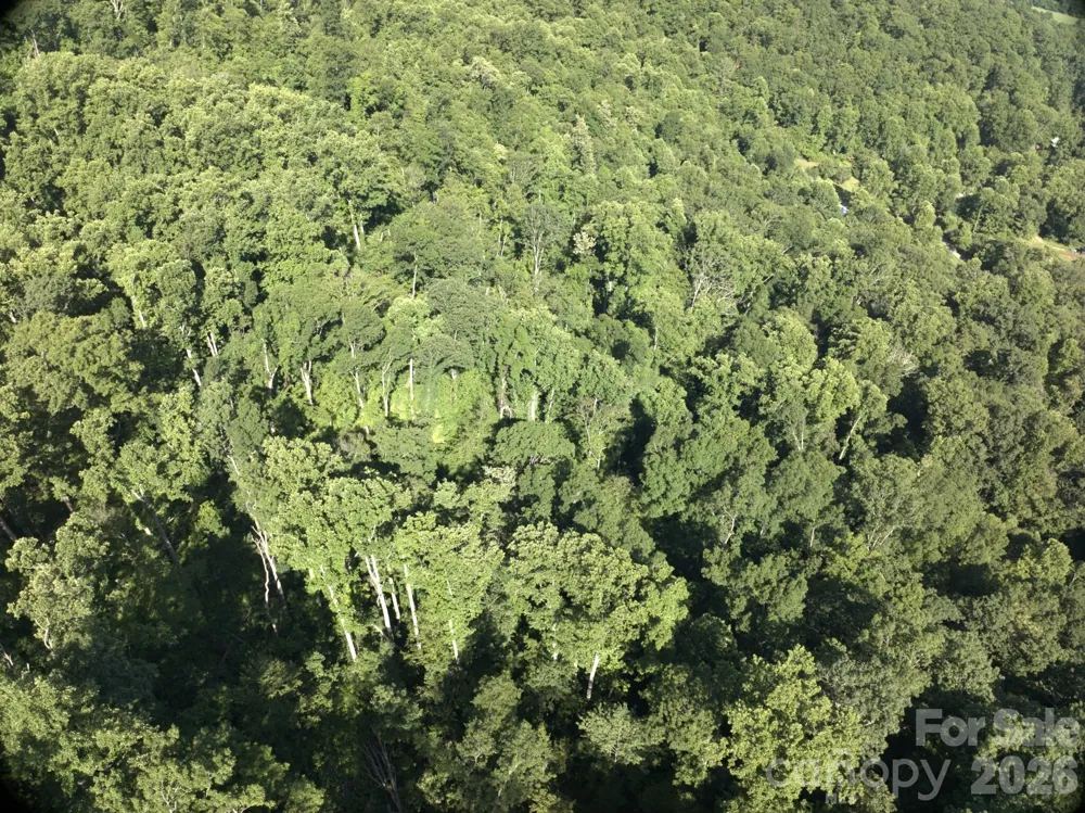 TBD Ox Creek Road Weaverville, NC 28787