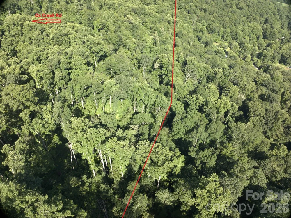 TBD Ox Creek Road Weaverville, NC 28787