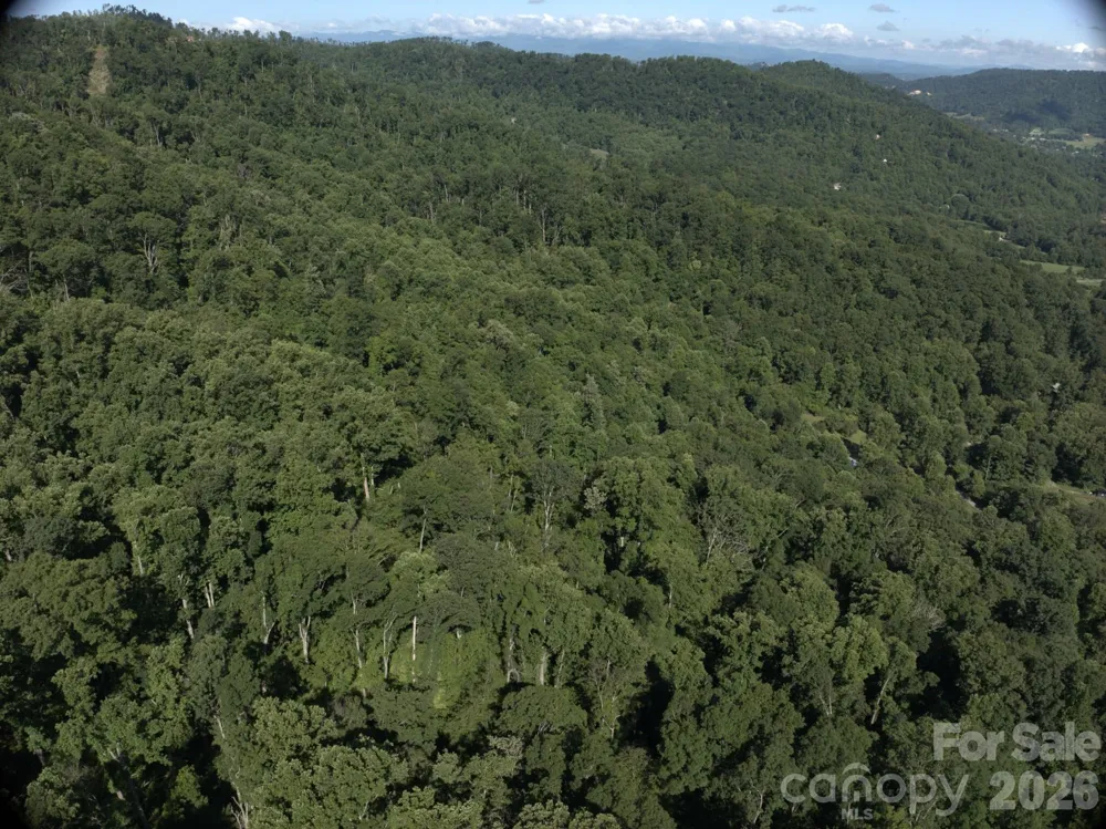 TBD Ox Creek Road Weaverville, NC 28787