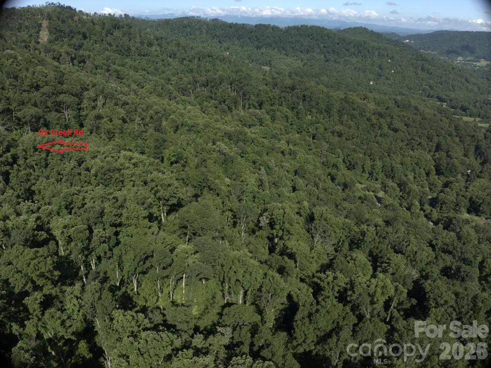 TBD Ox Creek Road Weaverville, NC 28787