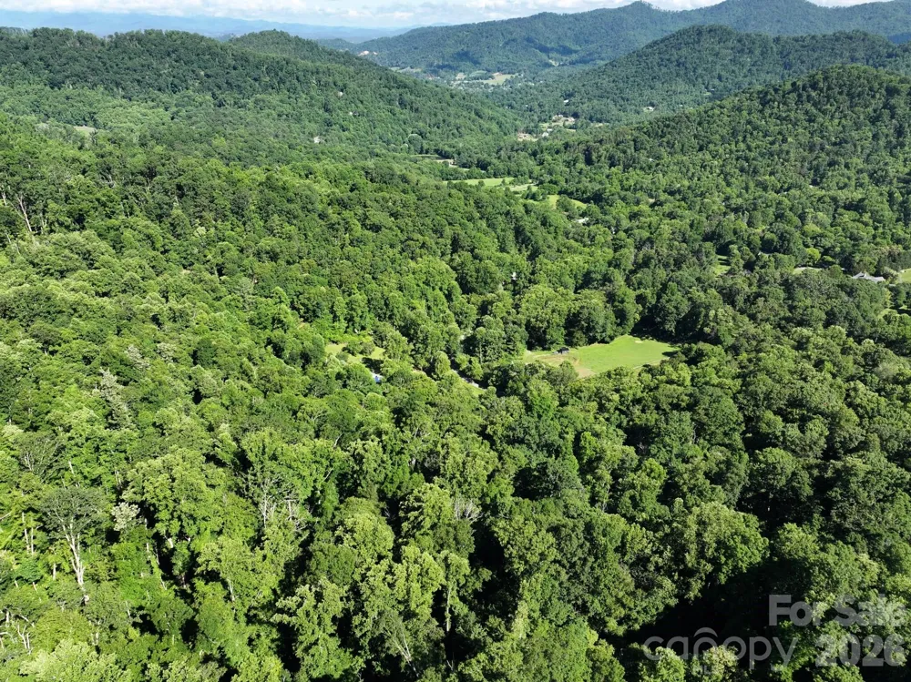 TBD Ox Creek Road Weaverville, NC 28787