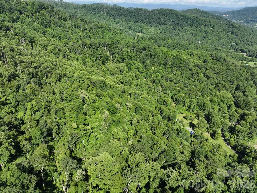 TBD Ox Creek Road Weaverville, NC 28787