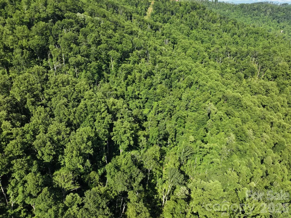 TBD Ox Creek Road Weaverville, NC 28787