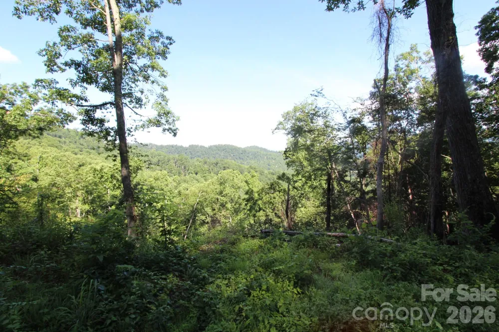 TBD Ox Creek Road Weaverville, NC 28787