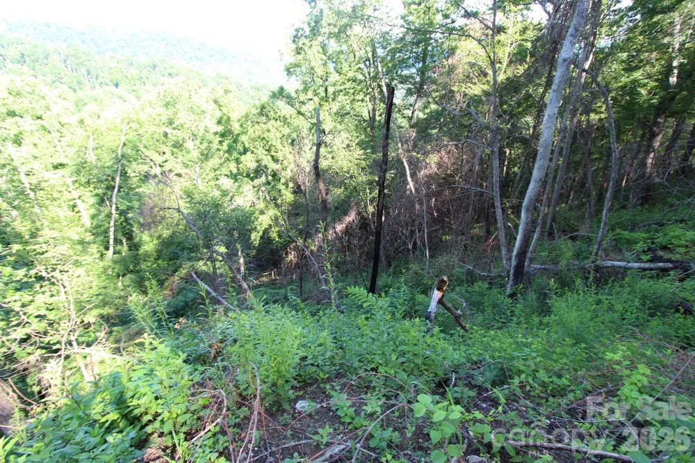 TBD Ox Creek Road Weaverville, NC 28787