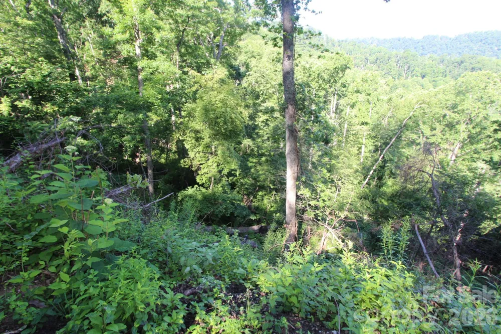 TBD Ox Creek Road Weaverville, NC 28787
