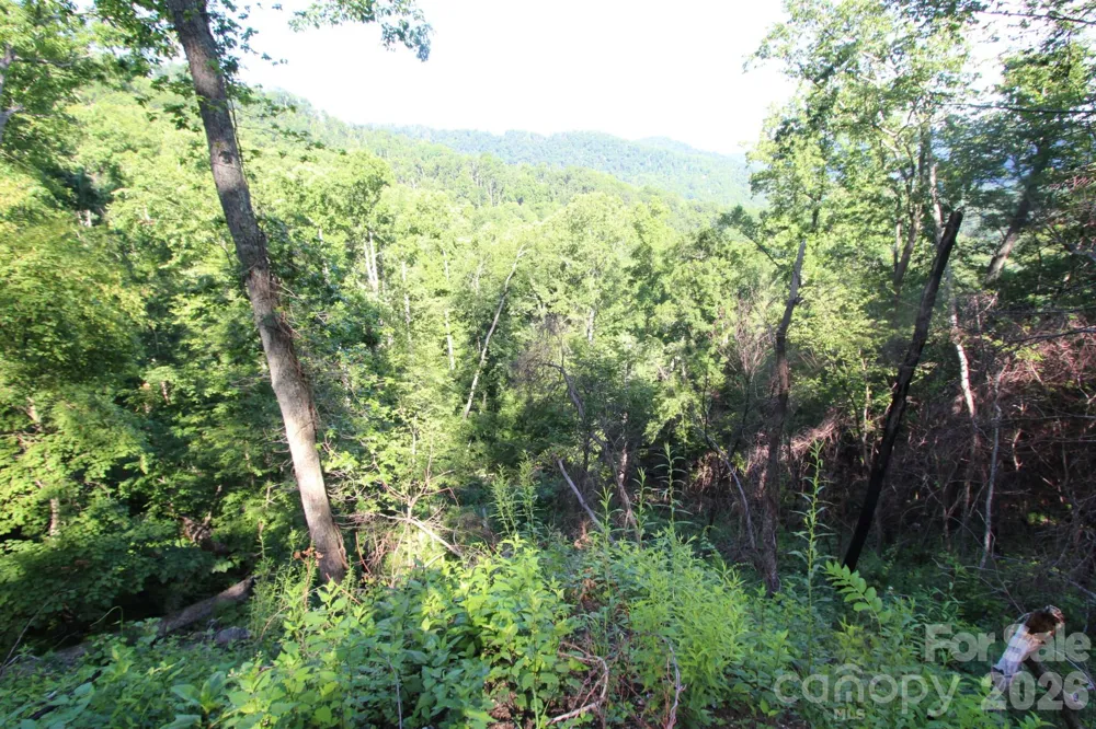 TBD Ox Creek Road Weaverville, NC 28787