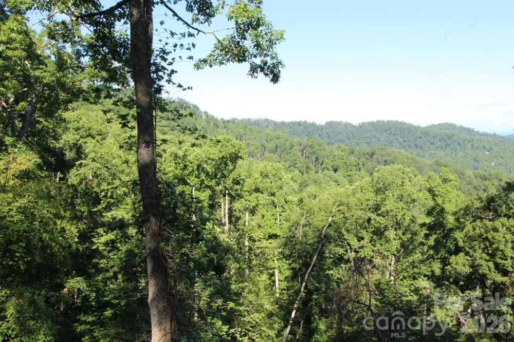 TBD Ox Creek Road Weaverville, NC 28787