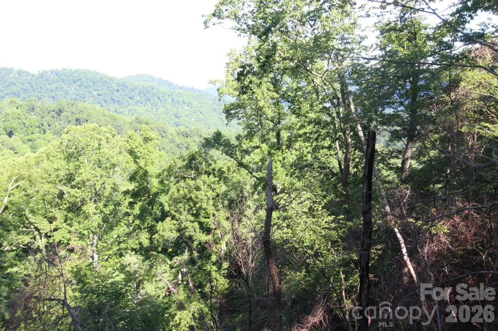 TBD Ox Creek Road Weaverville, NC 28787
