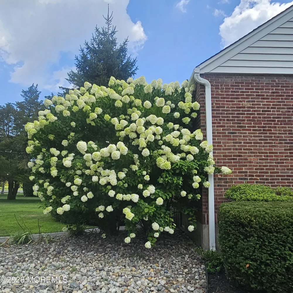 443 Newman Springs Road Lincroft, NJ 07738