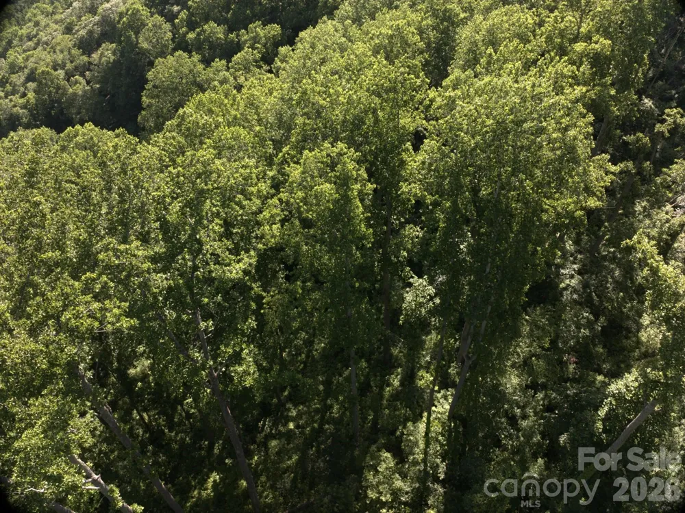 00 Ox Creek Crest Lane Weaverville, NC 28787