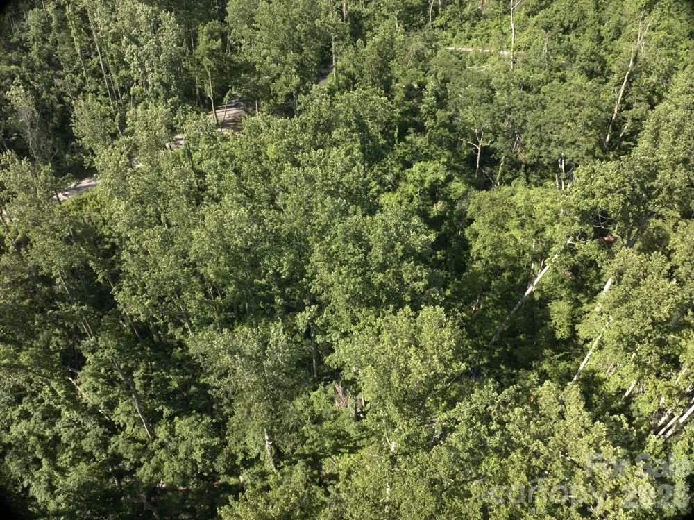 00 Ox Creek Crest Lane Weaverville, NC 28787