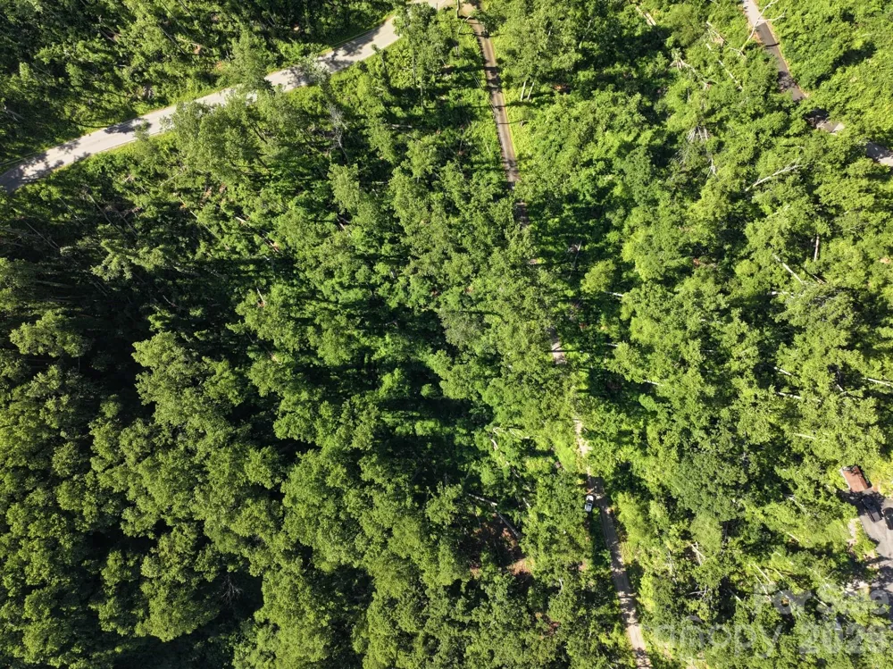 00 Ox Creek Crest Lane Weaverville, NC 28787