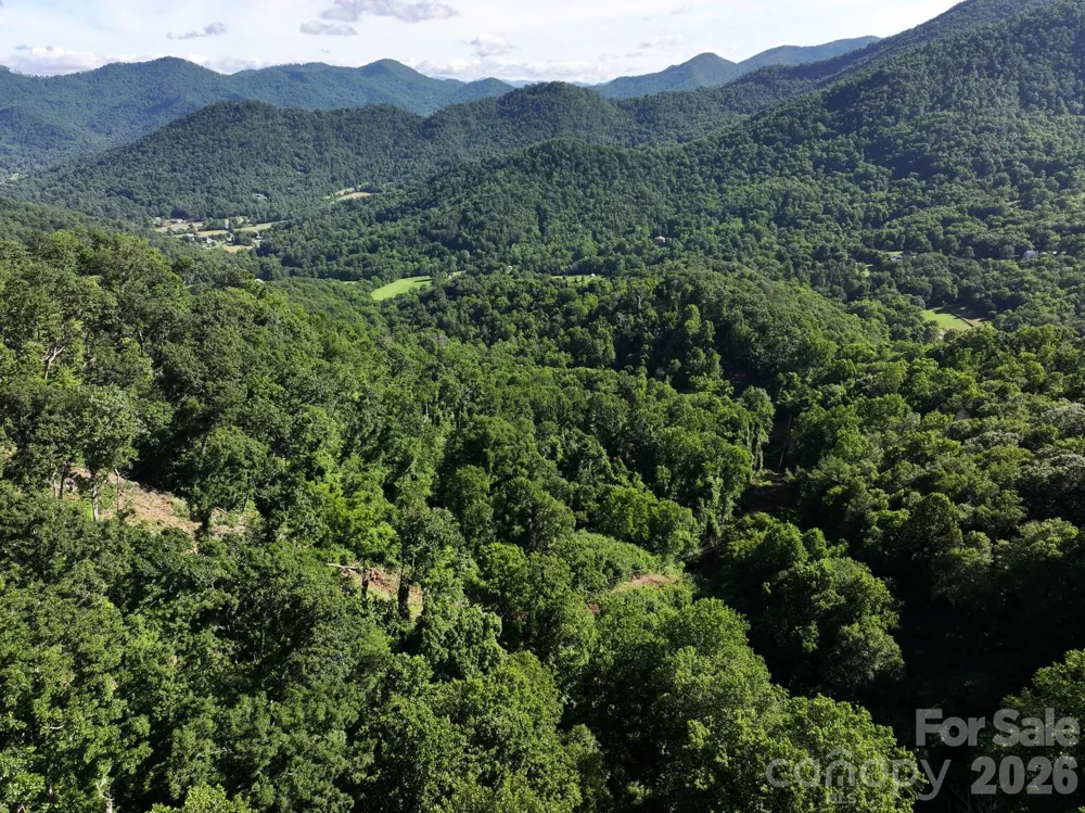 00 Ox Creek Crest Lane Weaverville, NC 28787