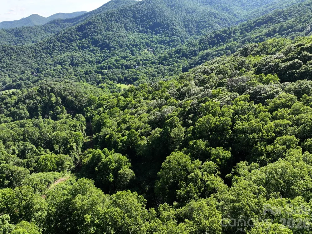 00 Ox Creek Crest Lane Weaverville, NC 28787