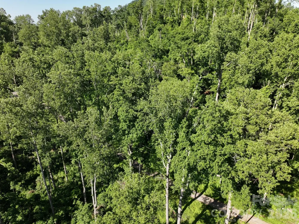 00 Ox Creek Crest Lane Weaverville, NC 28787