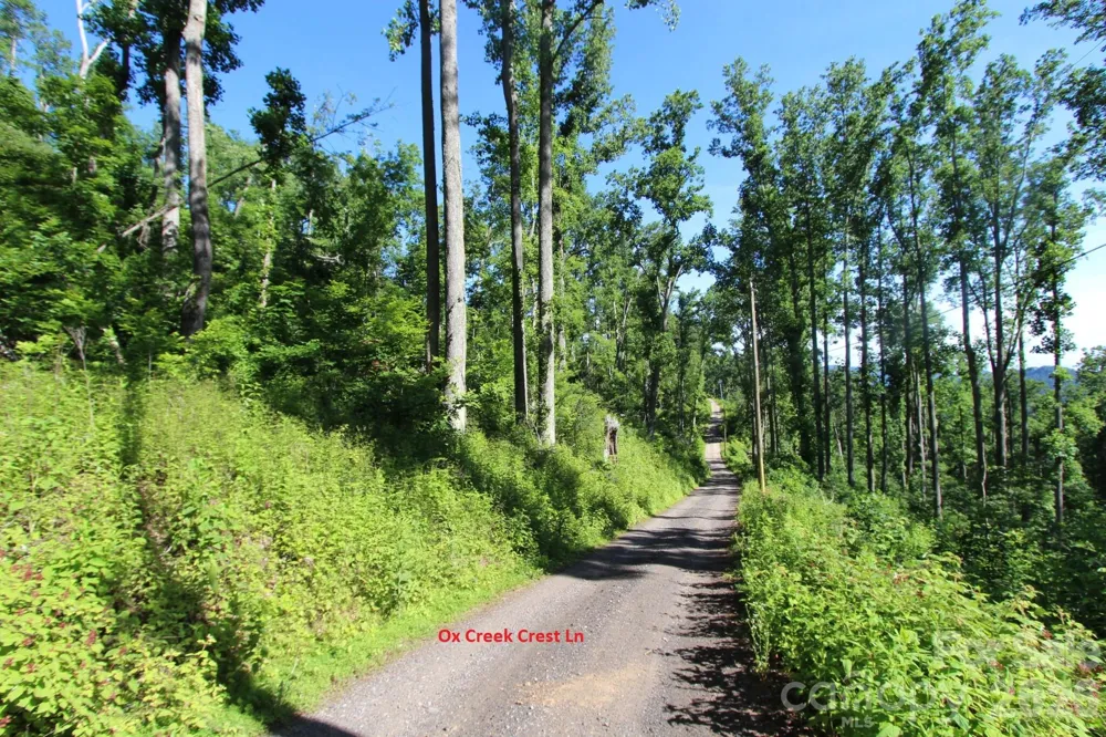 00 Ox Creek Crest Lane Weaverville, NC 28787