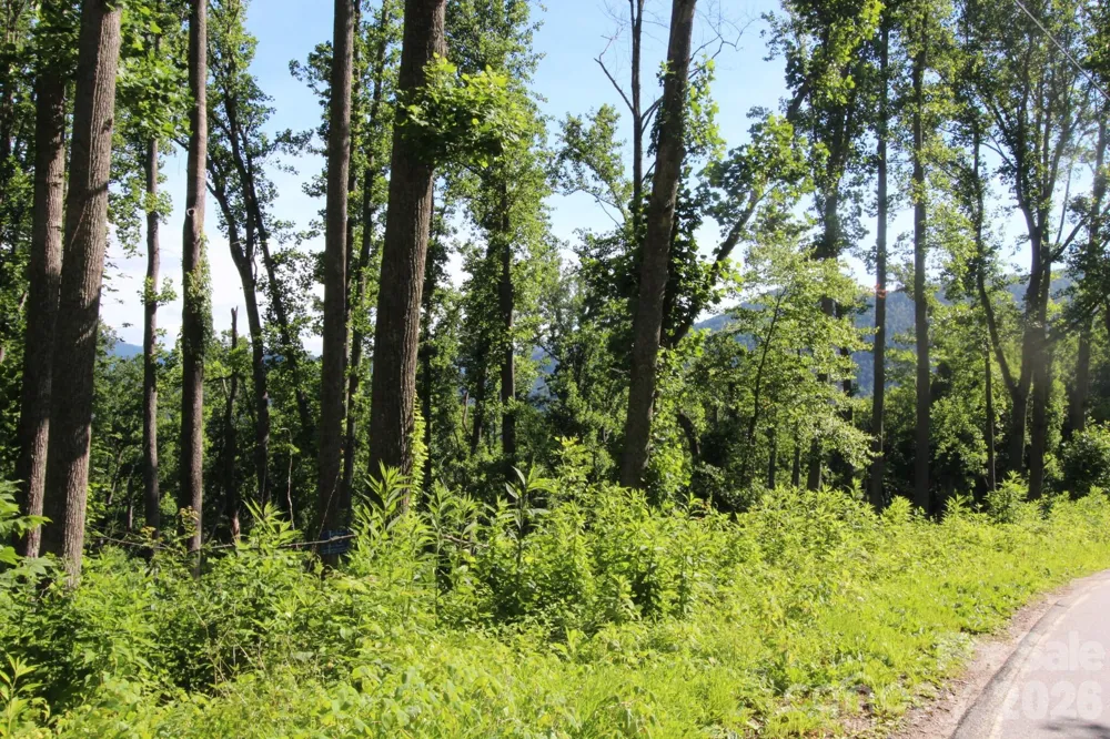 00 Ox Creek Crest Lane Weaverville, NC 28787