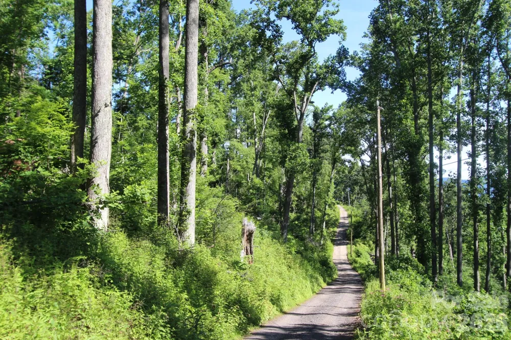 00 Ox Creek Crest Lane Weaverville, NC 28787