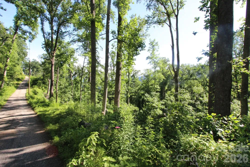 00 Ox Creek Crest Lane Weaverville, NC 28787