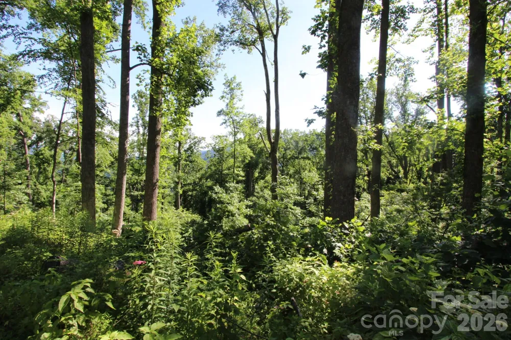 00 Ox Creek Crest Lane Weaverville, NC 28787