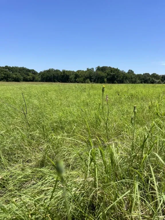 303 Sherry Weatherford, TX 76086