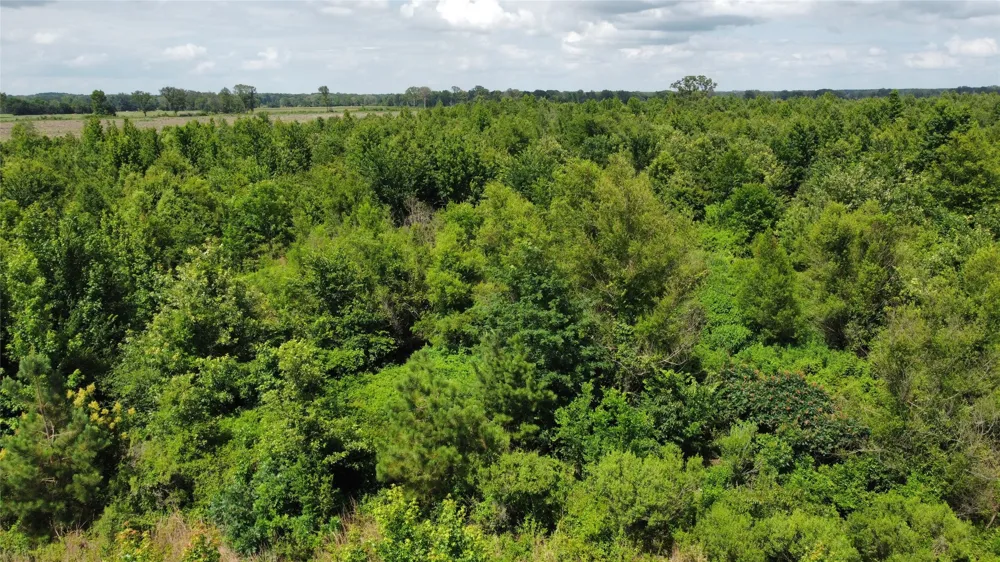 County Road 4507 De Kalb, TX 75559