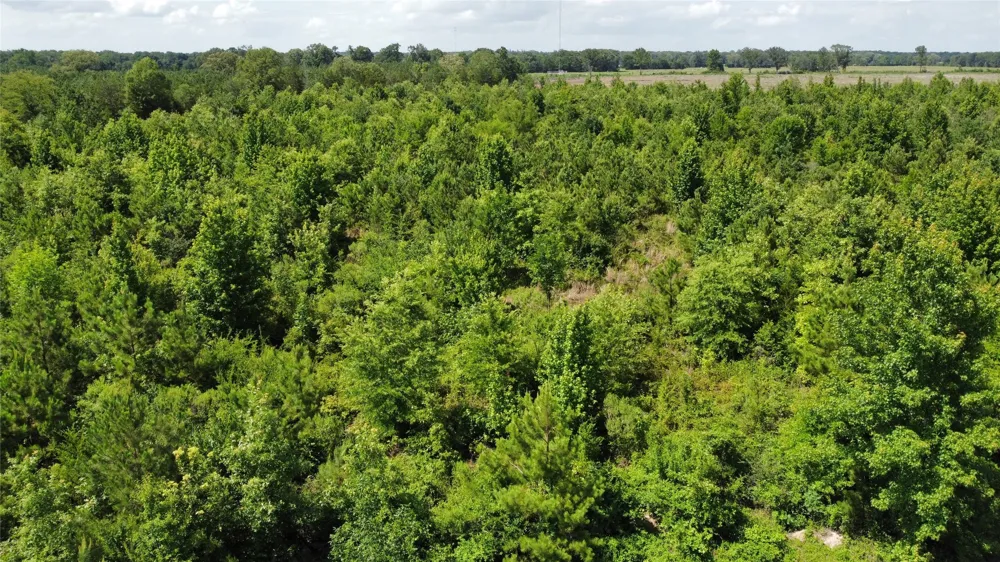 County Road 4507 De Kalb, TX 75559
