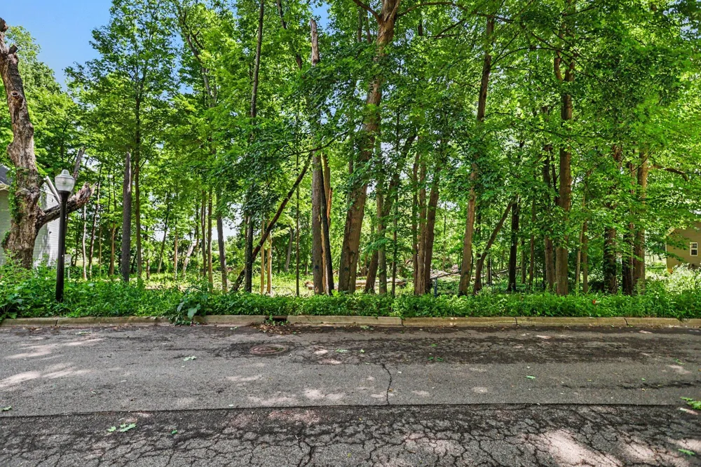 911 Wooded Lane Marshall, MI 49068