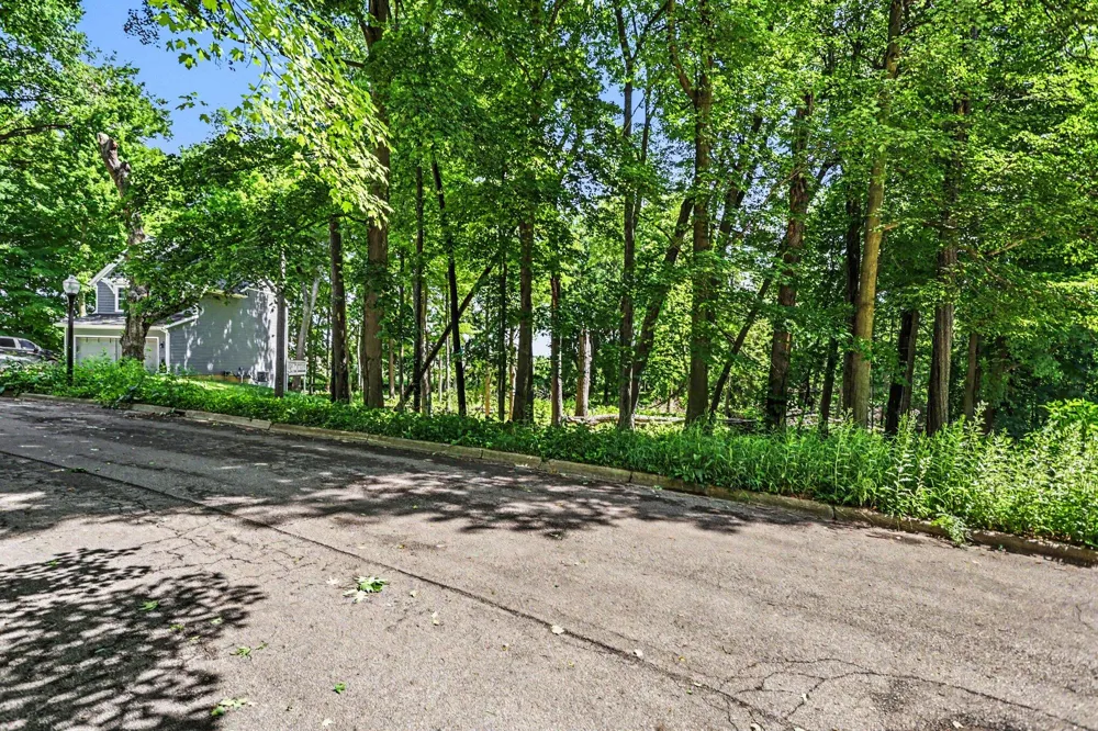 911 Wooded Lane Marshall, MI 49068