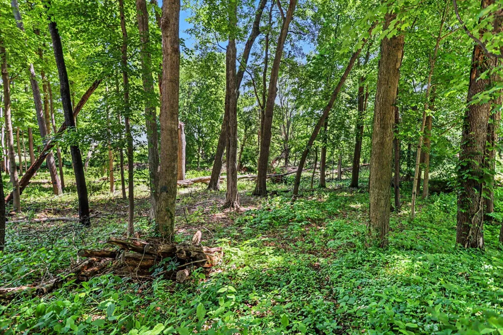 911 Wooded Lane Marshall, MI 49068