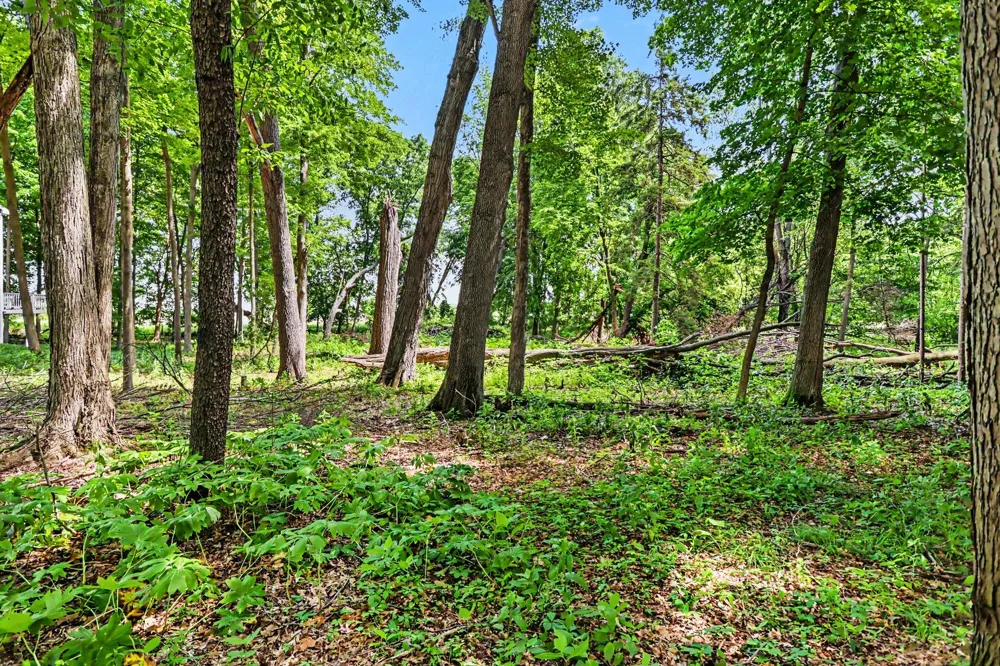 911 Wooded Lane Marshall, MI 49068