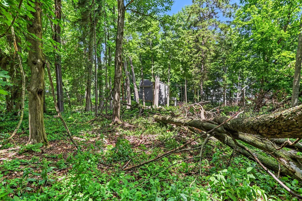 911 Wooded Lane Marshall, MI 49068