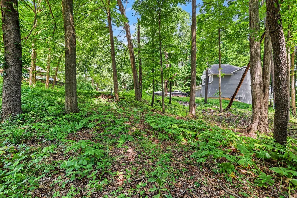 911 Wooded Lane Marshall, MI 49068